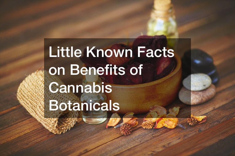 Little Known Facts on Benefits of Cannabis Botanicals