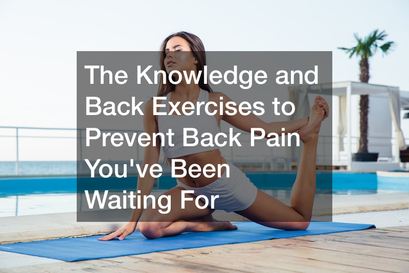 The Knowledge and Back Exercises to Prevent Back Pain Youve Been Waiting For